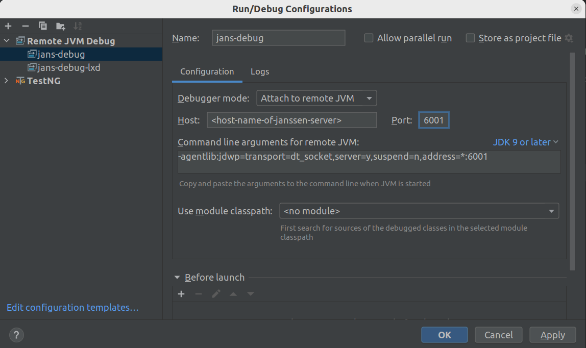 IntelliJ IDEA Remote Debug Configuration